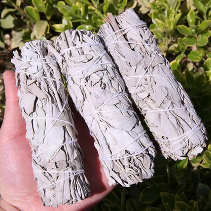 50g California White Sage