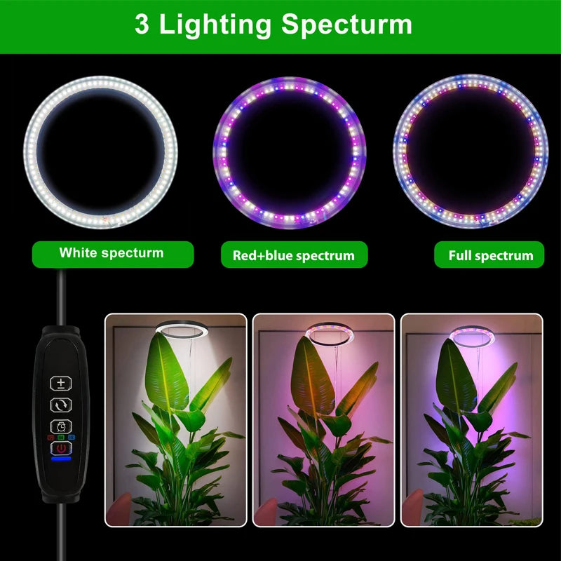 Grow Light Ring for Indoor Plants 10" LED