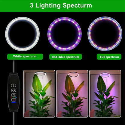 Grow Light Ring for Indoor Plants 10" LED